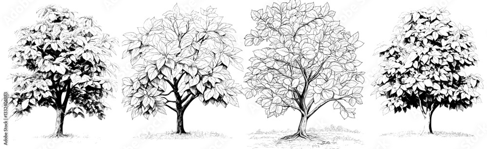 Aufkleber create a hand-drawn sketch of a chestnut tree using monochrome colors, presented as a modern illustr