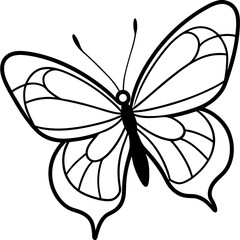 Delicate Sea Butterfly Line Drawing