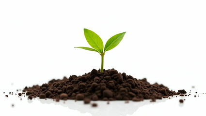 a young plant sprouts from rich soil symbolizing growth and natures resilience isolate on white background concept as Young plant sprouts from rich soil symbolizing growth and natures resilience on wh