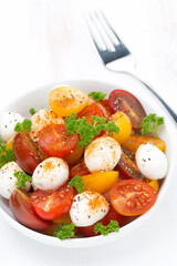salad with mozzarella and colorful cherry tomatoes, vertical