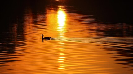 Peaceful sunset over Okavango Delta, Botswana, with a lone mokoro gliding through the water amid golden reflections.