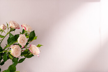 Bouquet of roses on a pink background. Flat lay, top view. Copy space
