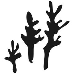 Silhouette of three branches of coral.