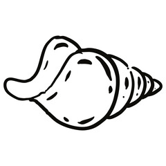 Black and white drawing of a seashell.