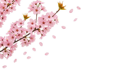 Naklejka premium Elegant Floral Bouquets & Arrangements – Perfect for Weddings, Home Decor, and Print Design