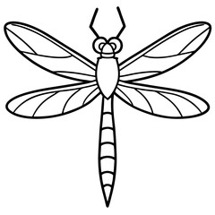 Elegant Sea Dragonfly Vector Sketch