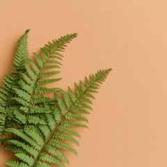 Vibrant fern leaves on a warm background.