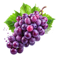 Fototapeta premium bunch of grapes isolated on white