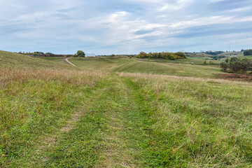 Rural landscape with a grassy dirt road winding through a hilly field and distant tree groves