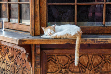 A red and white cat lies on the windowsill of a wooden kiosk next to the Ottoman Nuruosmaniye...