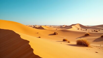Rolling sand dunes, sparse vegetation, bright sunlight, texture, Hoge Veluwe