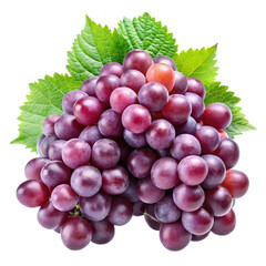 Fototapeta premium bunch of grapes isolated on white