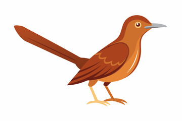 Brown Thrasher Bird Creative Vector Design on White Background