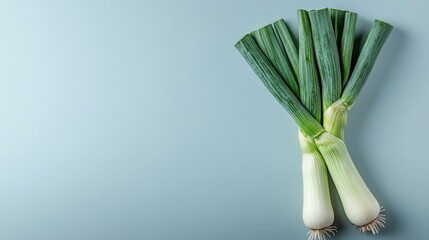 Fresh leeks on a blue background.