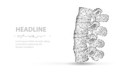 3d spine vector isolated on white. Chiropractic care, spinal cord, orthopedic surgery.