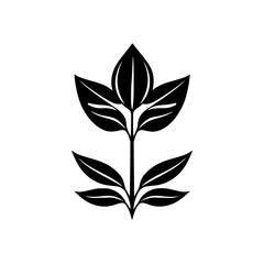 Elegant Black & White Botanical Illustration: Stylized Plant with symmetrical leaves and delicate shading on a stark white background.