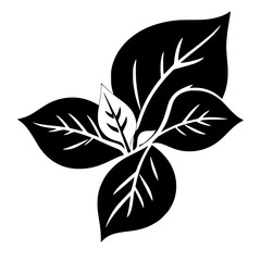 Bold Black and White Graphic of a Leafy Plant, Showcasing Veins and Detailed Leaf Shapes in Monochrome on White Background.