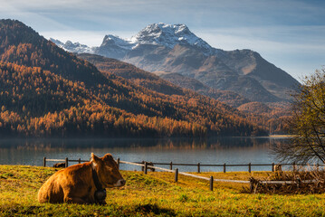 Autumn in Switzerland - Grisons