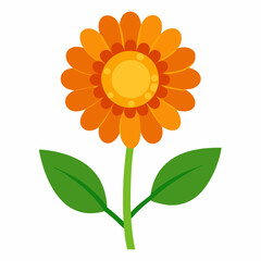 new calendula-flower-vector-icon-with-white-background