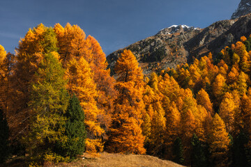 Autumn in Switzerland - Grisons