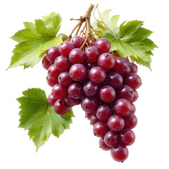 Fototapeta premium Bunch of Red grapes isolated on transparent background