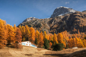 Autumn in Switzerland - Grisons