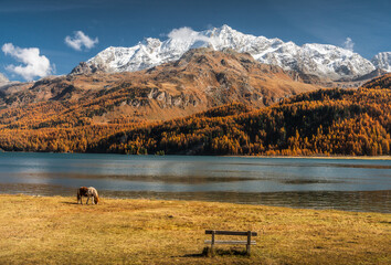 Autumn in Switzerland - Grisons