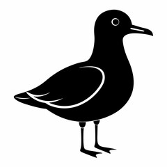 Elegant Seagull Silhouette Clipart