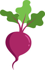 Beetroot Icon. Flat Vector Illustration.