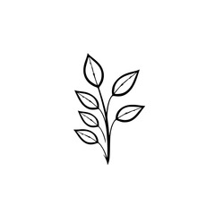 Minimalist Black and White Illustration of a Leafy Branch, Displaying Delicate Symmetry and Simple Elegance Against a Pristine White Background.