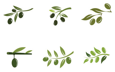 set of Olive logo template vector icon illustration design