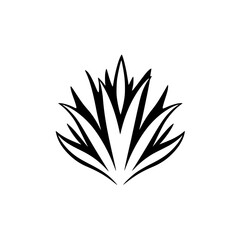 Simple and Stylized Black and White Agave Plant Illustration on White Background. Minimalist Botanical Design.