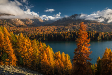 Autumn in Switzerland - Grisons