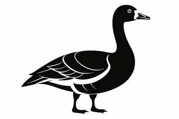 brent goose line art silhouette vector illustration