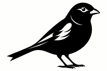 canary line art silhouette vector illustration
