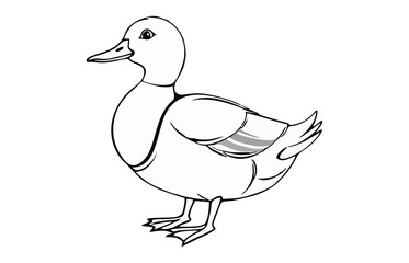 abstract duck line art beground illustration