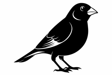 canary line art silhouette vector illustration