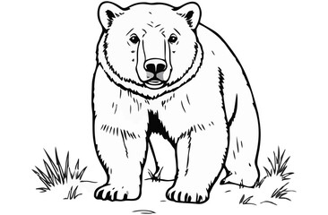 abstract illustration Ursus maritimus white bear