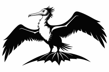 frigatebird line art silhouette vector illustration