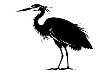 greylag goose line art silhouette vector illustration