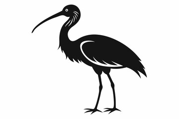 Obraz premium ibis line art silhouette vector illustration