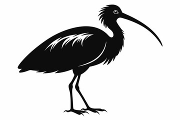 ibis line art silhouette vector illustration