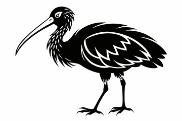 ibis line art silhouette vector illustration