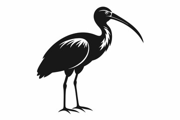 Obraz premium ibis line art silhouette vector illustration