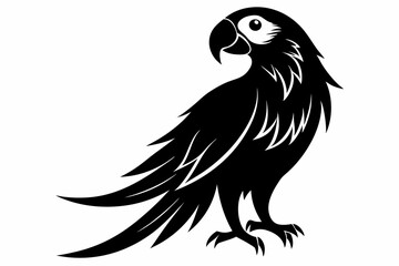 macaw line art silhouette vector illustration