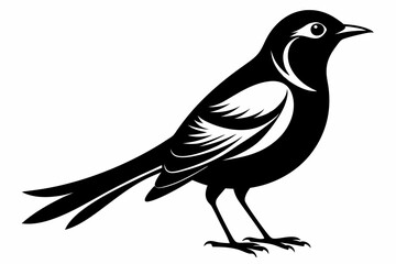 nightingale line art silhouette vector illustration