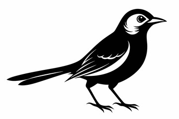 nightingale line art silhouette vector illustration