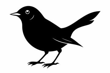 nightingale line art silhouette vector illustration