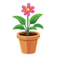 pink flower in pot