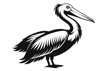 pelican line art silhouette vector illustration
